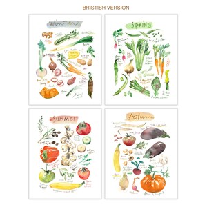 Seasonal vegetable set of four prints, Kitchen wall art, Veggie watercolor painting, Produce posters, Garden lover gift, Eating seasonally image 2