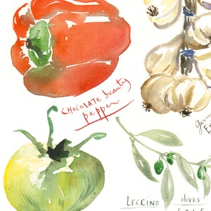 Seasonal vegetable set of four prints, Kitchen wall art, Veggie watercolor painting, Produce posters, Garden lover gift, Eating seasonally image 4