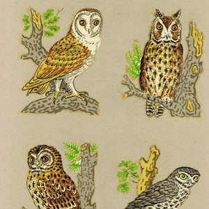 5 Sets OWLS, Barn Owl, Tawney, Little Owl, Crafts Decals Transfers (Small) Unique Retro Silk Screened Upcycle Decorations