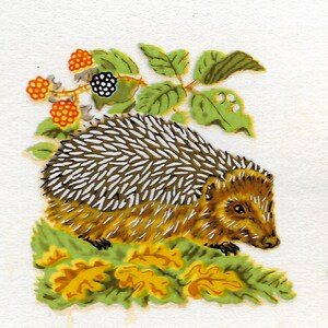 Peut inclure: Illustration peinte à la main d'un hérisson avec des piquants bruns et blancs, entouré de feuilles vertes, de baies rouges et noires et de feuilles d'automne. L'œuvre est sur fond blanc.