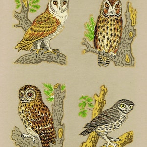 2  Sets OWLS, Barn Owl, Tawney, Little Owl, Crafts Decals Transfers (Small) Unique Retro Silk Screened Upcycle Decorations