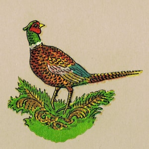 May include: A detailed illustration of a pheasant standing on green foliage. The bird features a red face, green neck, and a brown and orange body. Its long tail is striped, and it stands on thin legs.