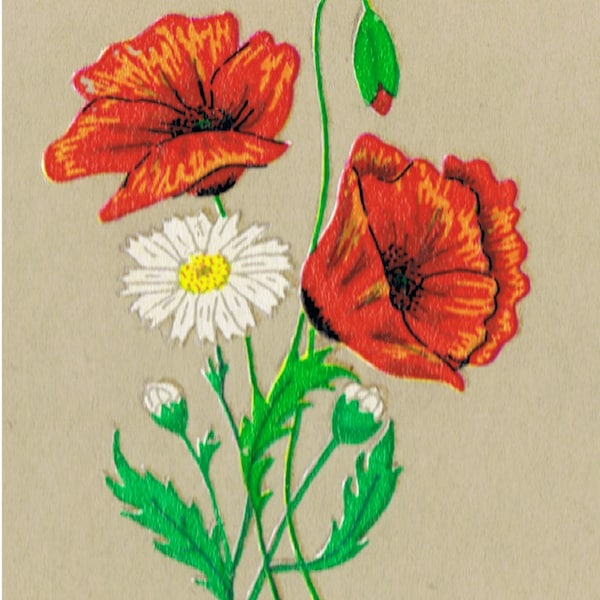 20 Poppy - Coquelicots avec des Dasies à œil de bœuf - Artisanat Bijoux Décoration Selle Transferts (Petits) Unique Rétro dessinés à la main Fleurs sauvages