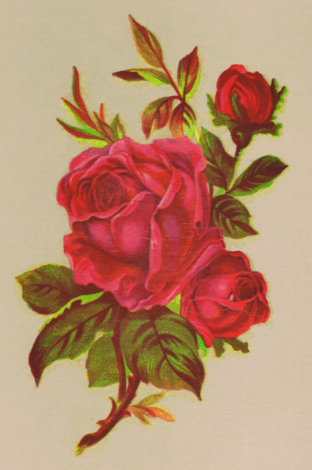 1 Red Rose Victorian Design Vintage Decals Transfer Floral Shabby Chic