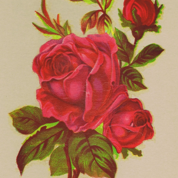 1 Red Rose Victorian Design Vintage Decals Transfer Floral Shabby Chic Furniture Restoration Upcycle