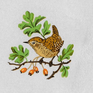 10 Wren Bird VINTAGE DECALS (Large) Craft Image Transfers  Unique Retro hand drawn designs, Garden Birds birds,