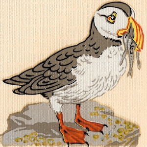 10 Puffin Decals (Medium) Original VINTAGE Decals Transfers Unique hand-drawn designs
