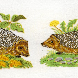 Peut inclure: Illustration de deux hérissons dans un cadre naturel. L'un est près d'une branche de mûres, l'autre près de pissenlits. Les hérissons ont des piquants bruns et blancs, entourés d'herbe et de feuilles vertes.