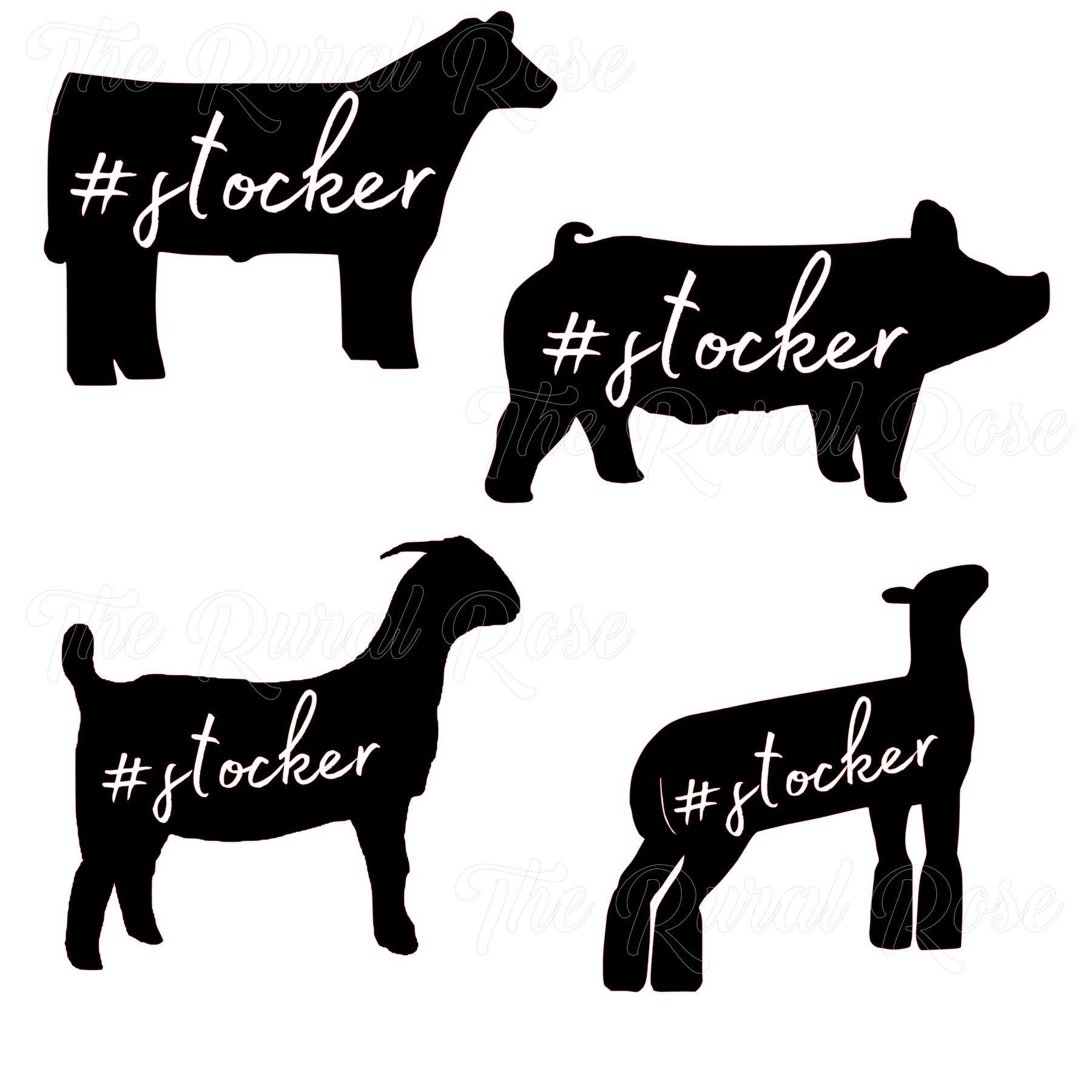 Beef. Sheep. Swine. Goat Showmanship. Champion. FFA 4-H - Etsy