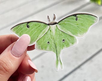Luna Moth | Vinyl Sticker | Whimsical Cottagecore