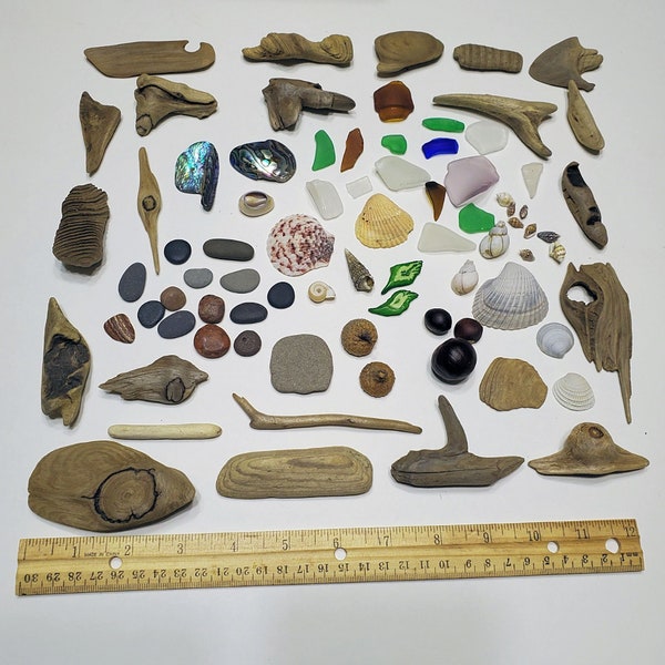 Driftwood Pieces for Crafts, Driftwood Kit, Beach Stones, Abalone Shells, Acorns, Beach Glass, Wall Art, Beach Art - 80 Pieces