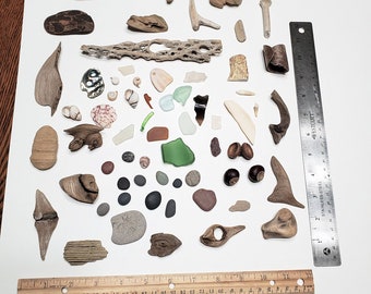Small Driftwood Pieces for Wood Crafts, Driftwood Kit, Beach Stones, Abalone Shells, Acorns, Beach Glass, Wall Art, Beach Art - 64 Pieces