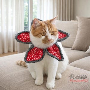 Könnte beinhalten: Eine rot-weiße Katze mit einem gehäkelten Kragen im Demogorgon-Stil. Der Kragen ist rot mit weißen Nähten und einem grauen Rand. Die Katze sitzt auf einem beigen Sofa.