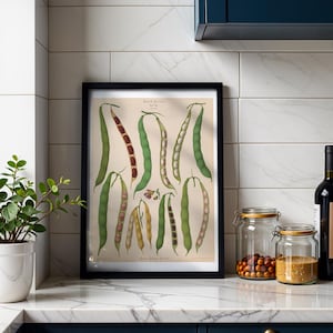 French Beans Botanical Print, Vintage Album Benary Illustration, Cottagecore Kitchen Wall Art, Farmhouse Decor, Gift for Gardener