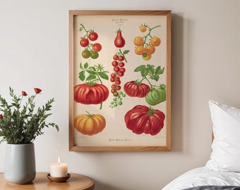 Può includere: Una stampa botanica vintage incorniciata con varie varietà di pomodori. La stampa presenta illustrazioni dettagliate di pomodori rossi, verdi e gialli, con steli e foglie. L'opera d'arte è su sfondo crema, incorniciata in legno chiaro.