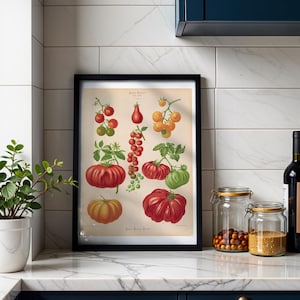 Tomatoes Botanical Print, Vintage Album Benary Illustration, Cottagecore Kitchen Wall Art, Farmhouse Decor, Gift for Gardener
