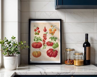 Tomatoes Botanical Print, Vintage Album Benary Illustration, Cottagecore Kitchen Wall Art, Farmhouse Decor, Gift for Gardener