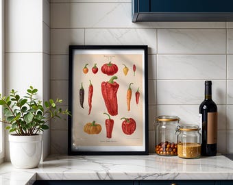 Chili Peppers Botanical Print, Vintage Album Benary Illustration, Cottagecore Kitchen Wall Art, Farmhouse Decor, Gift for Gardener