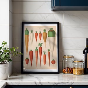 Carrots Botanical Print, Vintage Album Benary Illustration, Cottagecore Kitchen Wall Art, Farmhouse Decor, Gift for Gardener