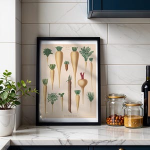 Culinary Roots Botanical Print, Vintage Album Benary Illustration, Cottagecore Kitchen Wall Art, Farmhouse Decor, Gift for Gardener
