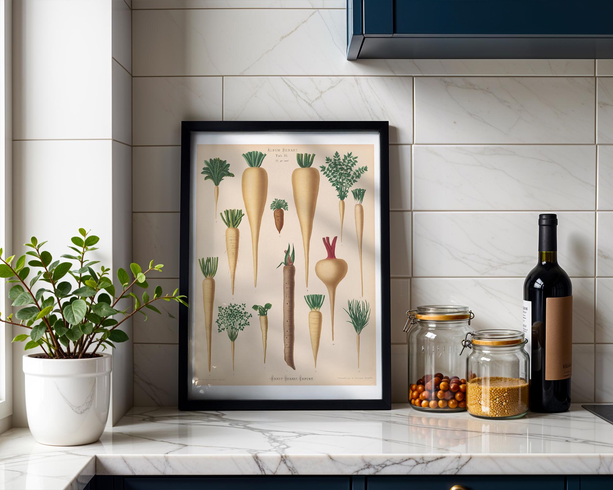 Culinary Roots Botanical Print, Vintage Album Benary Illustration, Cottagecore Kitchen Wall Art, Farmhouse Decor, Gift for Gardener