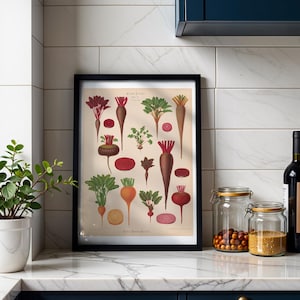 Beets Botanical Print, Vintage Album Benary Illustration, Cottagecore Kitchen Wall Art, Farmhouse Decor, Gift for Gardener