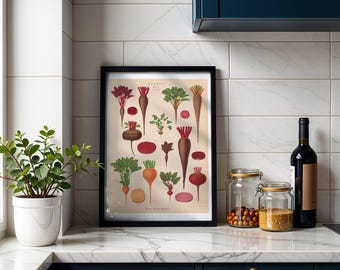 Beets Botanical Print, Vintage Album Benary Illustration, Cottagecore Kitchen Wall Art, Farmhouse Decor, Gift for Gardener