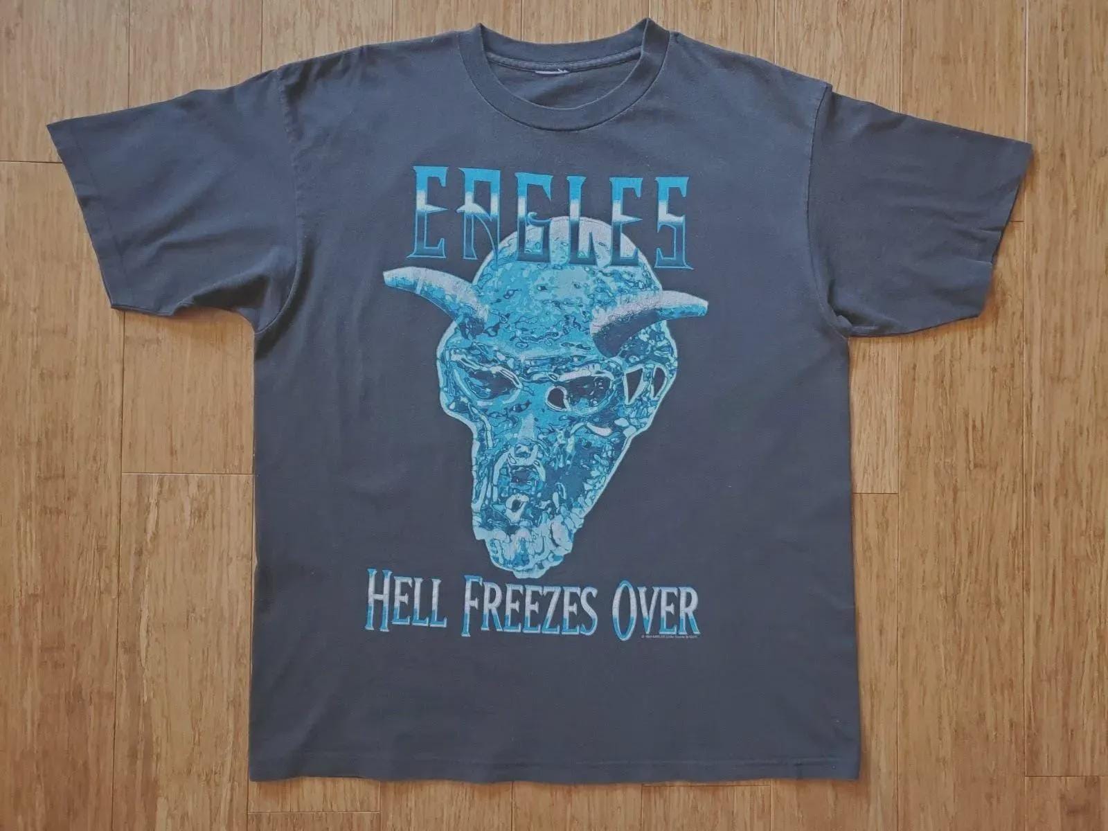 Vintage Graphic 90's Eagles Hell Freezes Over Tour 1995 T-shirt