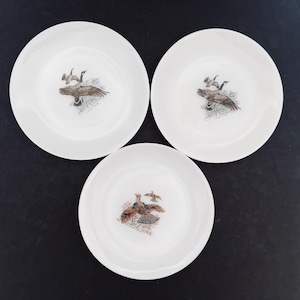 Fire King Game Birds Bread Butter Plates Milk Glass Goose Duck Pheasant Grouse 4