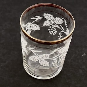Bartlett Collins Grapes and Vine, verre à jus de 4 oz, transparent, blanc, gravure, bordure dorée