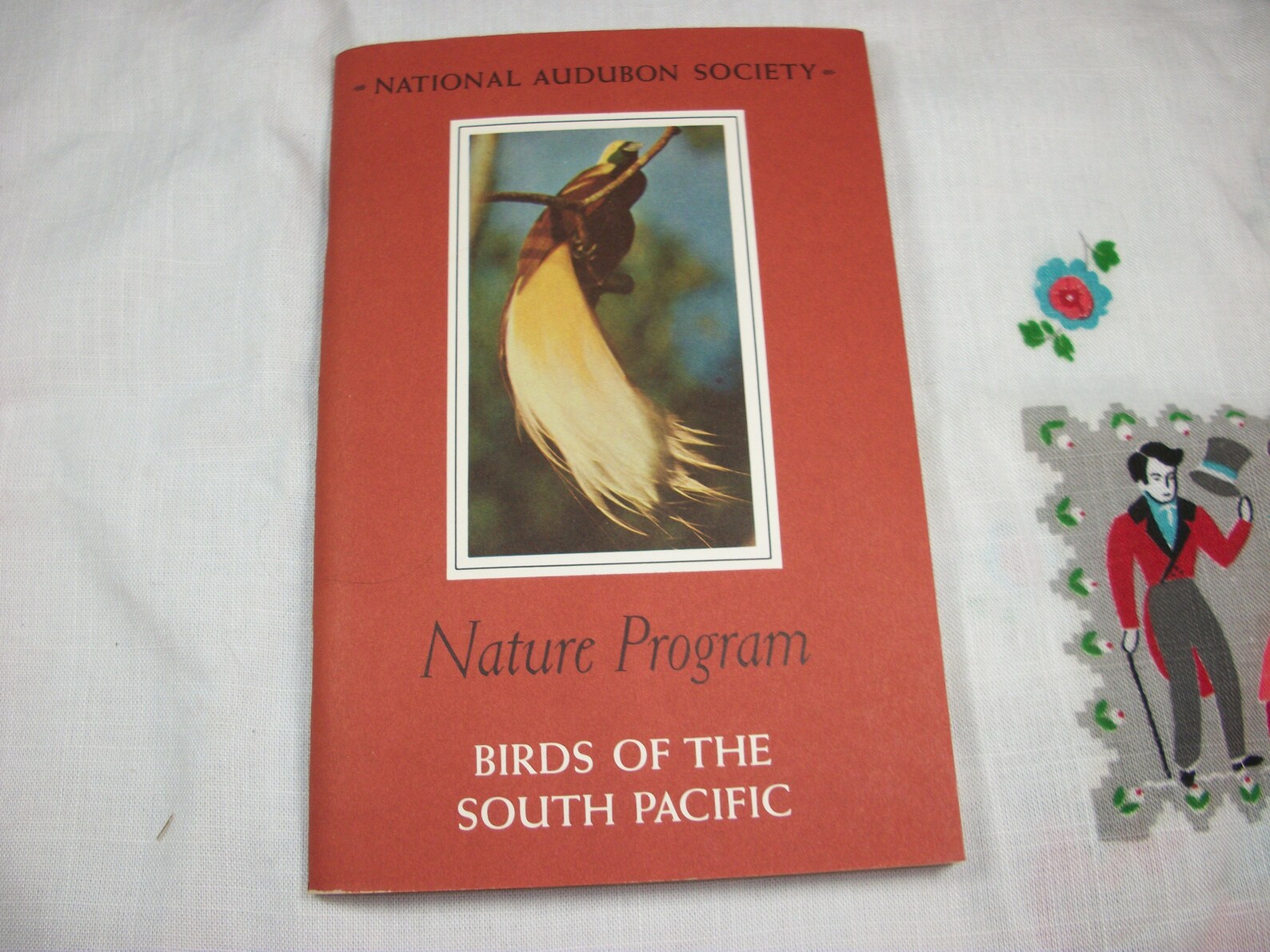 Vintage National Audubon Society Nature Program Book Birds of Etsy France