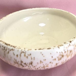 Vintage Speckleware Speckle Glazed Planter Bowl Textured Design Brown and White