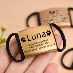 Puede incluir: Una colección de etiquetas de identificación personalizadas para mascotas en varios colores, incluyendo dorado, plateado y negro. Cada etiqueta presenta un nombre, huellas de patas e información de contacto. Las etiquetas son rectangulares con lazos de goma negros.