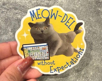Miau-del ohne Erwartung | SLP Sticker | AAC Aufkleber | Neurovielfalt-affirming Vinyl-Aufkleber | Lily the AAC Cat Sticker