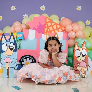 bingo birthday dress Bluey Birthday Dress