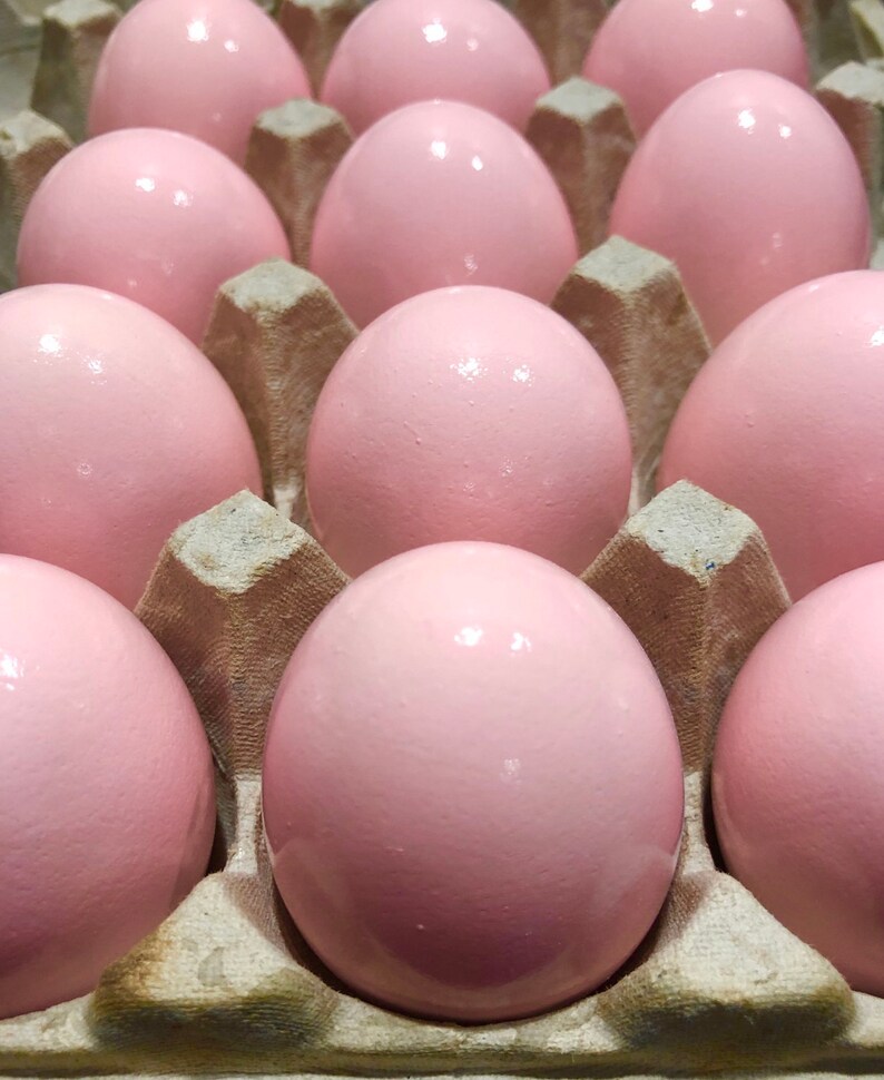 Gender Reveal Pink and Blue Confetti Eggs Cascarones Easter Baby Shower