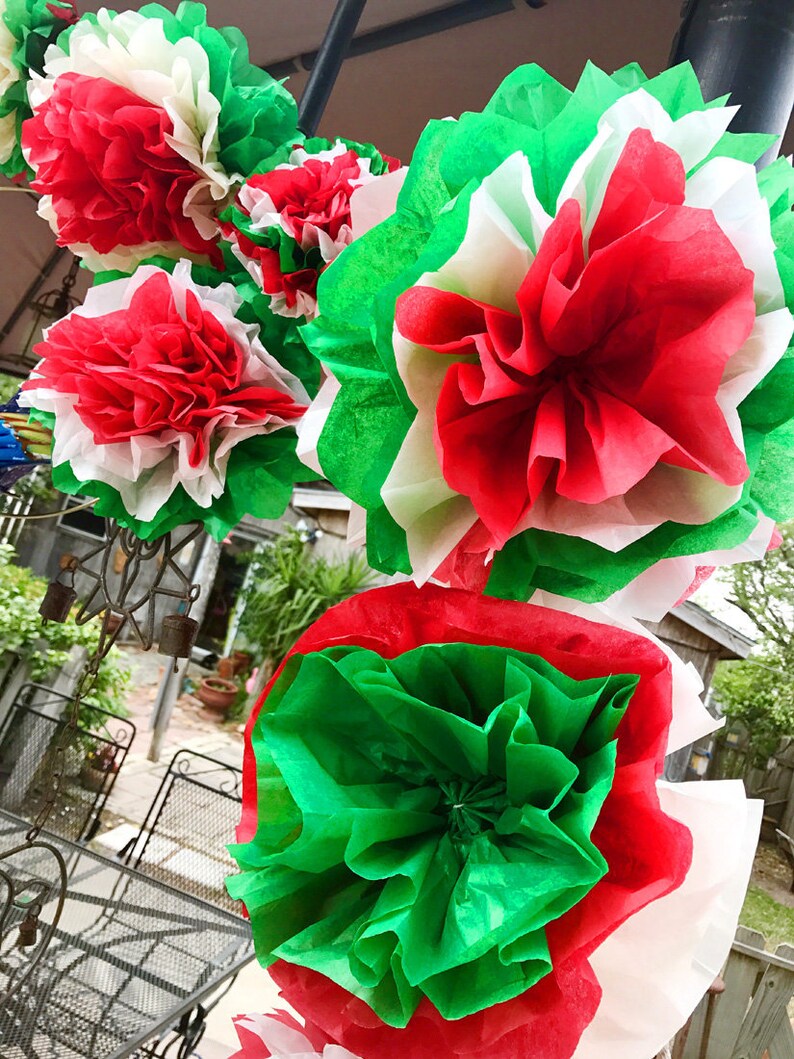 Mexican Tissue Flowers Cinco De Mayo Fiesta Photo Wall Decorations Party Birthday Red White