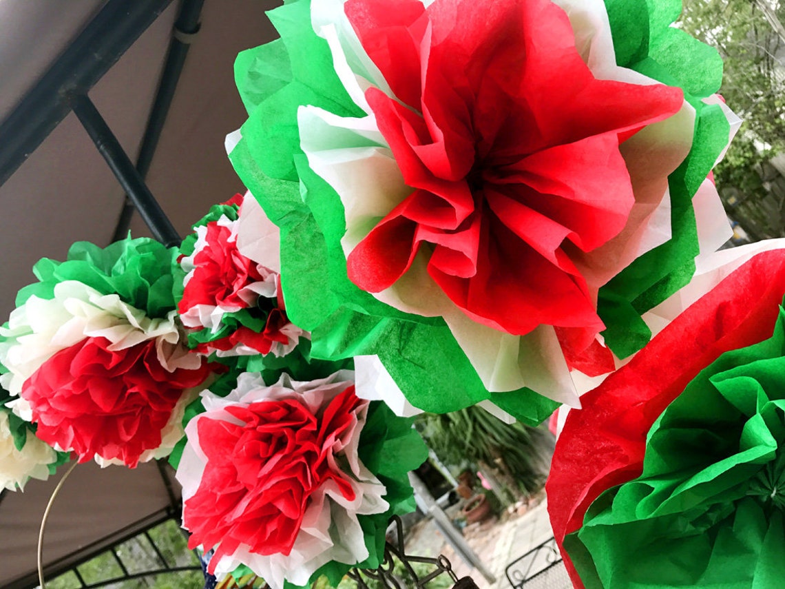 Mexican Tissue Flowers Cinco De Mayo Fiesta Photo Wall Decorations Party Birthday Red White