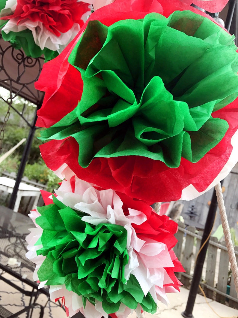 Mexican Tissue Flowers Cinco De Mayo Fiesta Photo Wall Decorations Party Birthday Red White