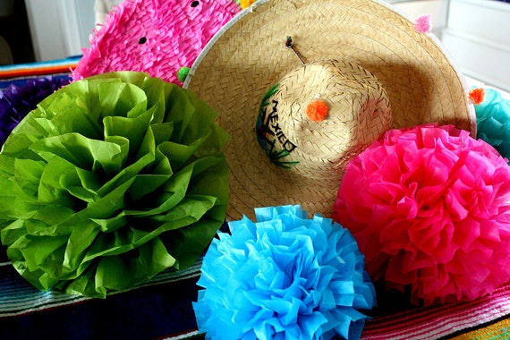 Fiesta Photo Wall Mexican Tissue Paper Flowers Decorations Party