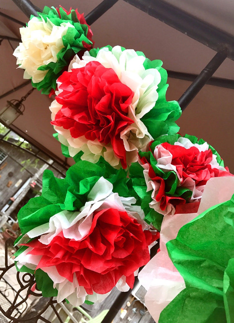 Mexican Tissue Flowers Cinco de Mayo Fiesta Photo Wall Etsy