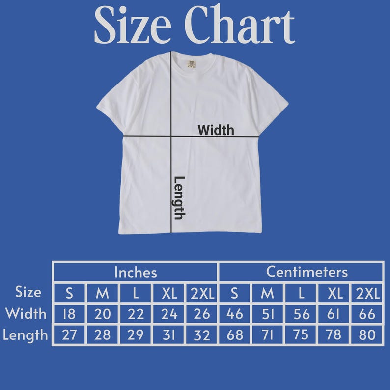 ヴィンテージ レッドブル レーシング Tシャツ | フォーミュラ1 ファングッズ | F1 レッドブル Tシャツ 画像 3