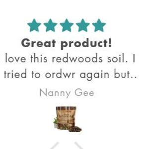 May include: Customer reviews for a plant product, featuring text like "Plant lover" and "Great product!" Each review includes a 5-star rating and a small image of a plant pot. The reviews are from Beachlover, Nanny Gee, and Helga Berta.