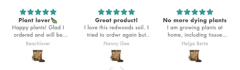 May include: Customer reviews for a plant product, featuring text like "Plant lover" and "Great product!" Each review includes a 5-star rating and a small image of a plant pot. The reviews are from Beachlover, Nanny Gee, and Helga Berta.