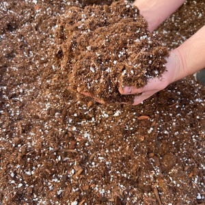 Terreau d'empotage épais - Répulsif contre les moucherons, mélange d'acariens et de plantes d'intérieur