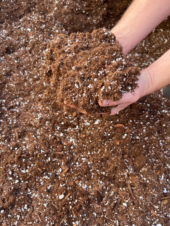 Chunky Potting Soil Mix – Gnat Repellent, Aroid & Houseplant Blend