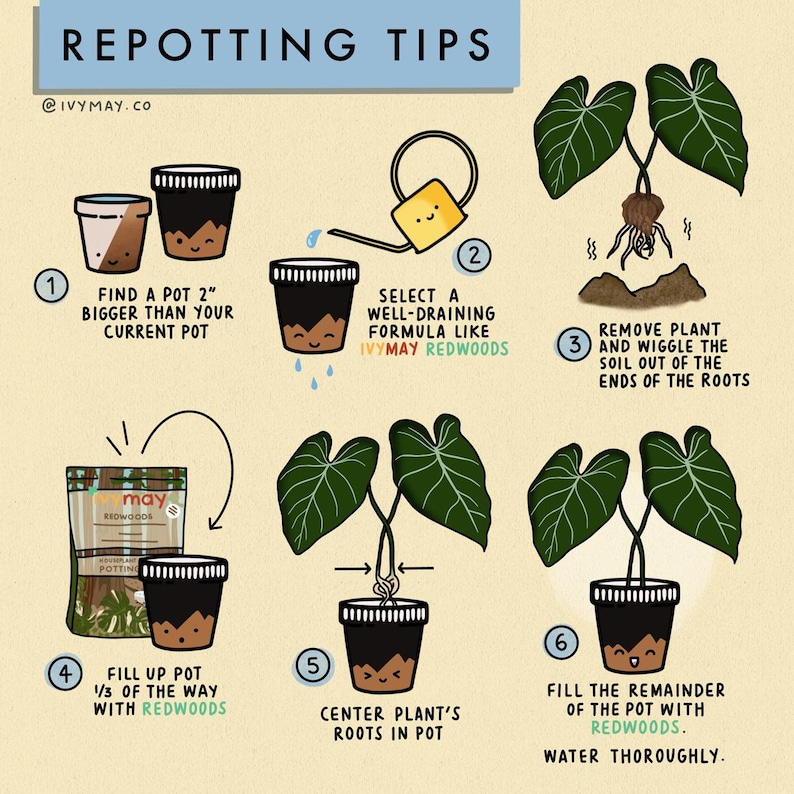 May include: An illustrated guide with the text "Repotting Tips" shows steps for repotting plants. The steps include finding a pot 2 inches bigger, selecting a well-draining formula, removing the plant, filling the pot, centering the roots, and watering.
