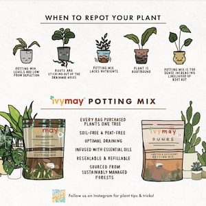May include: An illustrated guide on when to repot plants, with examples of rootbound plants and potting mix issues. The image also features two bags of IvyMay potting mix, one for redwoods and one for dunes, with details on their features.