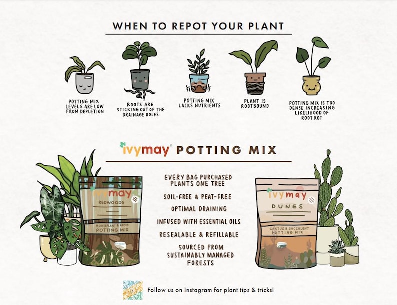 May include: An illustrated guide on when to repot plants, with examples of rootbound plants and potting mix issues. The image also features two bags of IvyMay potting mix, one for redwoods and one for dunes, with details on their features.