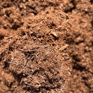 Könnte beinhalten: Nahaufnahme eines Haufens braunen Mulchs, der aus zerkleinertem Holz und organischem Material besteht. Der Mulch hat eine grobe Textur mit sichtbaren Holzspänen und Fasern. Das Bild ist gut beleuchtet und hebt die natürliche Farbe und Textur des Materials hervor.